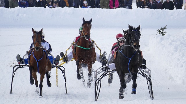 很多球迷和 很多球迷和