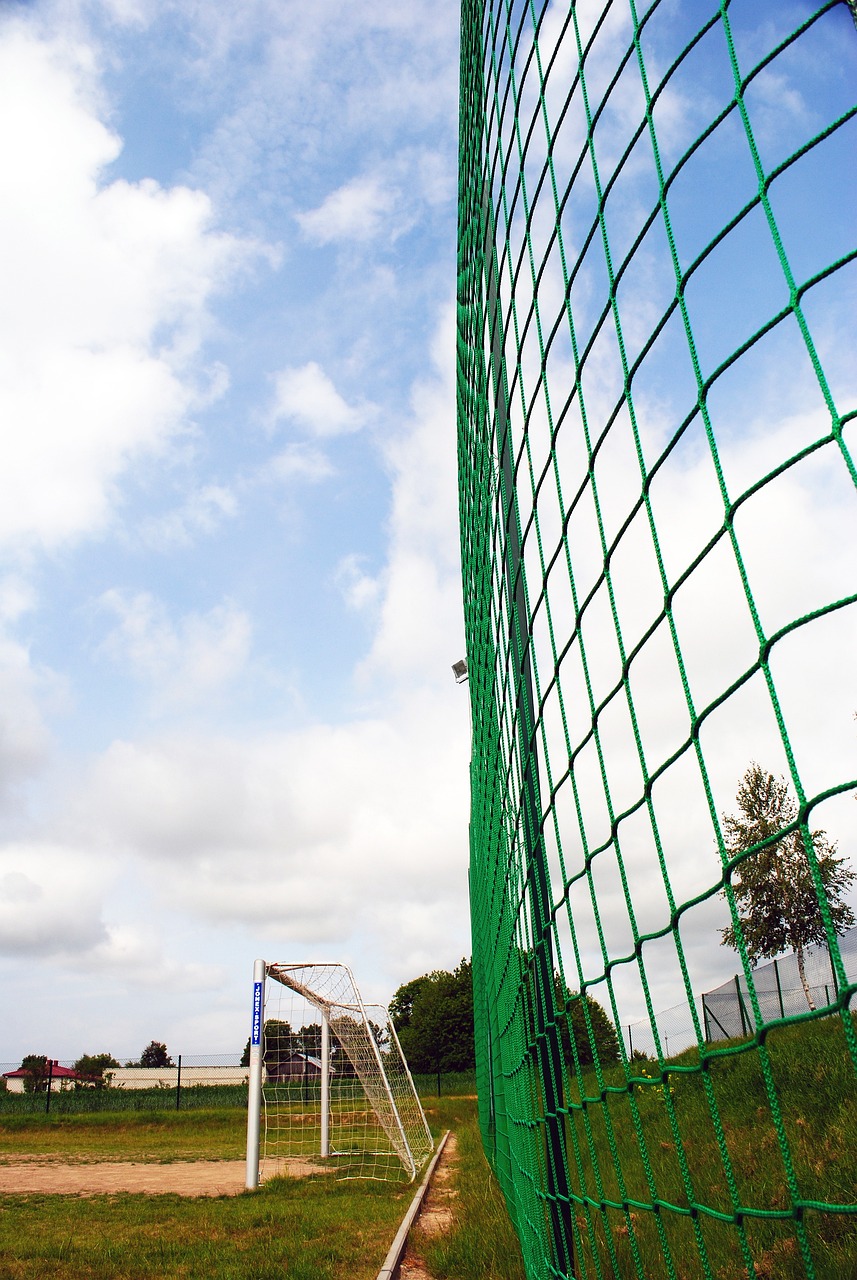 的开创性人 的开创性人