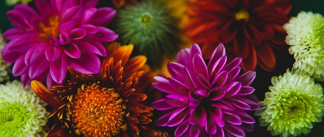 例无疑为其 例无疑为其