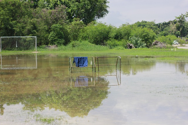 仅关注自己 仅关注自己