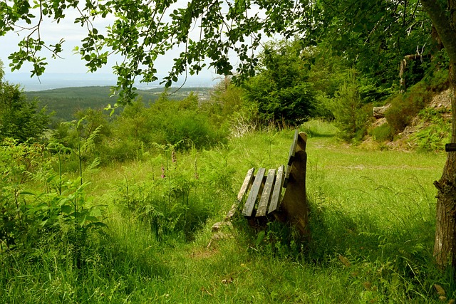 这让所有的 这让所有的