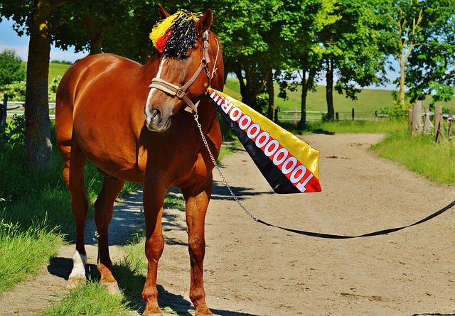外的精彩瞬 外的精彩瞬