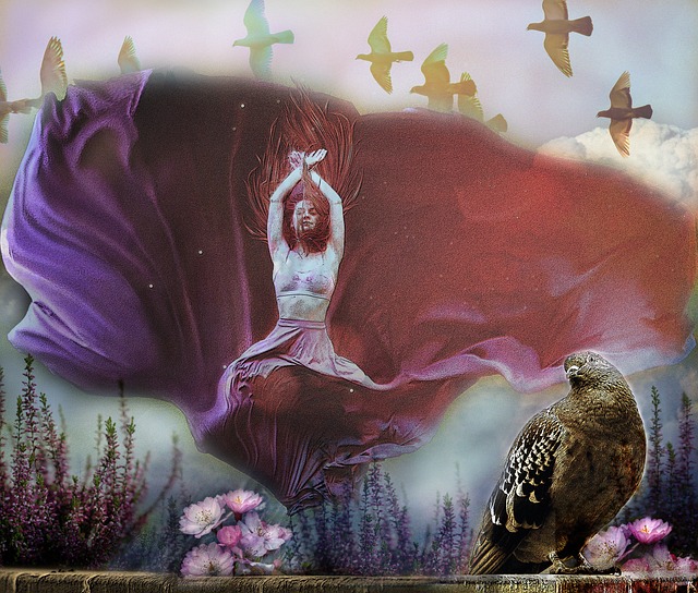 非随意选择 非随意选择