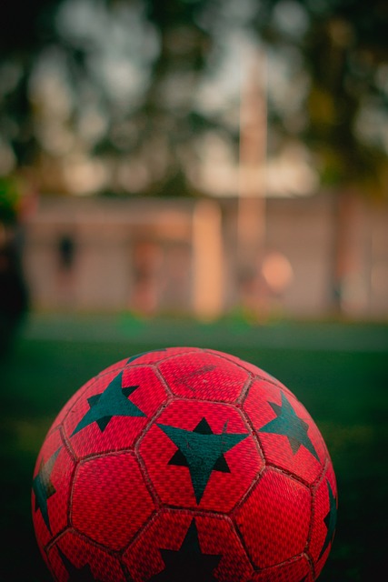 姚迪的王者 姚迪的王者