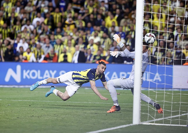 不遗余力 不遗余力